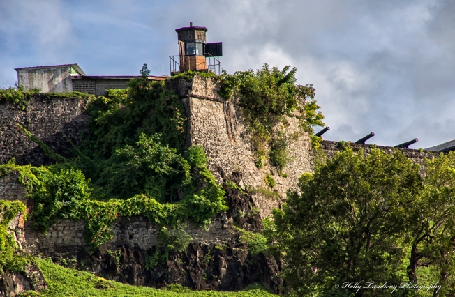 _D8A6004© Old Fort, Grenada